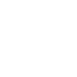 The Freeflow Foundation